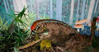 Ten Real-Life Sci‑Fi Moments From Earth's Ancient Past