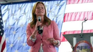 Armed suspect detained after lunge at Amy Acton during Canfield Fair speech
