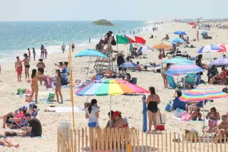 Jones Beach Injury Highlights NYC-Area Shark Sightings