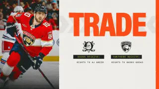 Ducks land Greer rights from Florida in Gudas trade