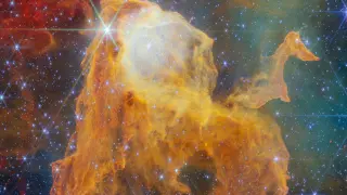JWST Spots Dozens of Newborn Stars in Carina's Treasure Chest