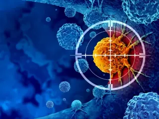 Mechanical Confinement Triggers Self-Destruction in Metastatic Cancer Cells