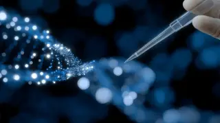 Off-the-shelf CAR-NK cells dodge immunity to attack cancer