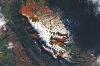 Autumn Fire in Patagonia's Beech Forests
