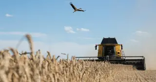 Ukraine-Israel grain dispute escalates over alleged stolen shipments