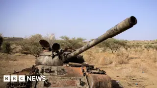 Ethiopia’s cross-regional rebels form ‘Alliance for Survival’ to challenge Abiy