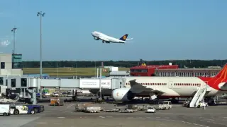 Mosquito on Board Triggers Malaria Outbreak at Frankfurt Airport