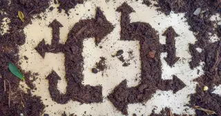 Sterile Dirt Hints at Life’s Metabolic Beginnings