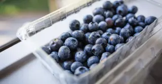 Flavanols: going beyond 5-a-day for heart health