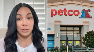 Sit Isn’t Enough: Texas Dog Sparks a Petco Training Reality Check