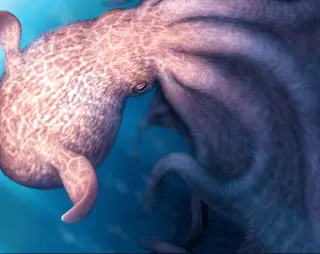 Giant Late-Cretaceous octopus rewrites ocean size records