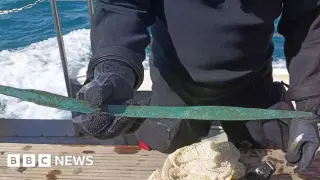 Divers Uncover 3,000-Year-Old Bronze Age Sword at Salcombe Wrecks