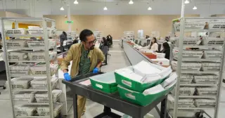 California Voters Face 14 Statewide Measures Amid Debate Over Direct Democracy's Effectiveness