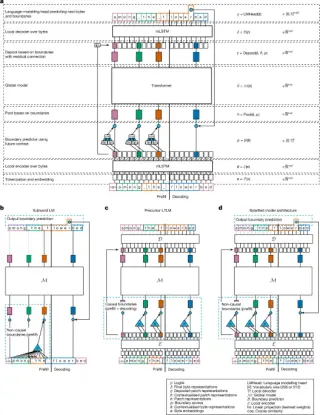 Byteification bridges gap between subword and byte-level AI models