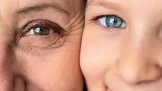 Aging Across the Body Occurs in Two Bursts, Driven by Hormones