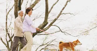 Tiny Awe, Big Gratitude: Awe Walks Boost Well-Being in Older Adults