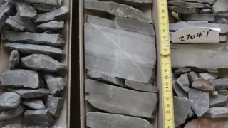 Rocks That Breathe: Organic Carbon Weathering Amplified Jurassic Warming