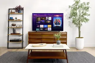 Roku Puts OLED in Reach with Pro Series Starting at $999