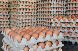 FDA escalates egg recall to top danger level over deadly salmonella risk