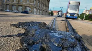 Germany reels from 41°C heat as roads melt and trams stall
