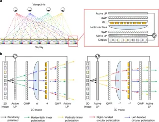 Polarization-tuned metasurface lens enables switchable 2D–3D displays