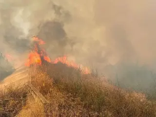 Greece Mobilizes Sea Evacuations as 73 Wildfires Spread Across the Nation
