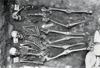 Ancient DNA reveals recurring plague waves across Europe after the Black Death
