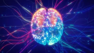 New Study Links Freudian Projection to Modern Predictive Brain Theory