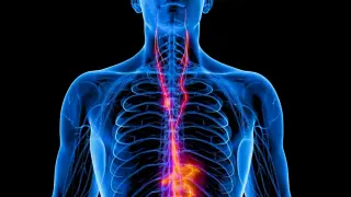 Implantable Vagus Nerve Stimulator Delivers Lasting Relief for Severe Depression in US Trial
