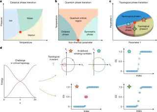 Phononic Crystals Reveal Topology at Phase Boundaries