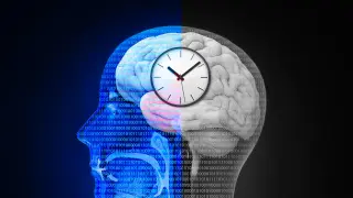 Fasting reshapes brain signals and gut bacteria to support weight loss