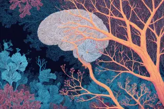 DBS Rewires Depression Circuits by Remodeling White Matter