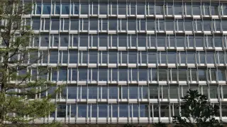 Spain Backs María Neira for WHO Chief Amid Climate and Prevention Push
