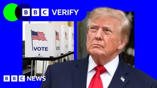 Trump's $1M Fraud Bounty Faces Data Showing Rare Cheating