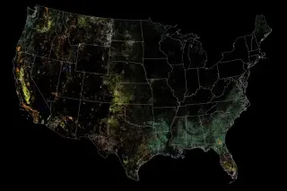 Wild Disturbances Surge as Human Land Change Slows in the U.S.