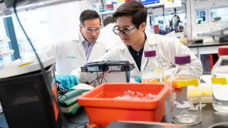 Lilly and Ascidian strike up to $1.9B RNA-editing pact for kidney disease