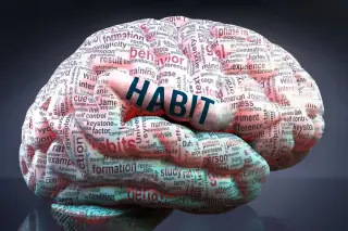 Brain Can Flip from Deliberate to Habitual Instantly, Johns Hopkins Study Finds
