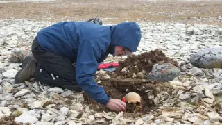 DNA ties Franklin expedition sailors to living descendants, naming four Erebus crew and one Terror sailor