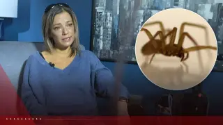 Kansas mother of four fights for life after suspected brown recluse bite at campfire