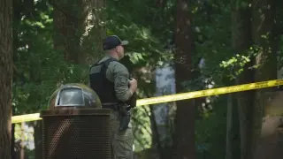 Three dead after Bowie park plane crash; investigators probe training flight