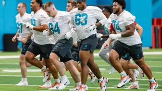 Dolphins Secure Guard Haynes, Uche Pleads to Stay