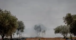 Diplomats and Journalists Targeted in Surge of West Bank Settler Violence