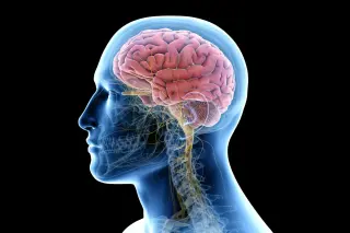 Freud and Brain Science Converge: Predictive Processing Reframes Psychoanalysis