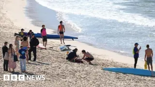 Coogee Beach shark attack leaves woman seriously injured