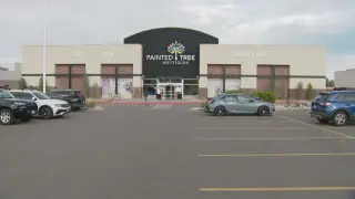 Colorado Vendor Reels After Painted Tree Shuts Down All Stores