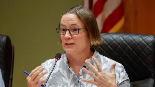 Tampa councilor calls Rays stadium plan a taxpayer burden
