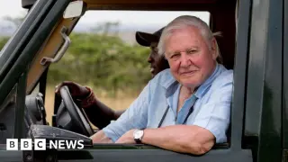 Attenborough’s Bristol: the birth of a global wildlife film hub