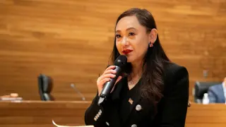 Arcadia Mayor Admits Acting as Illegal Agent for China