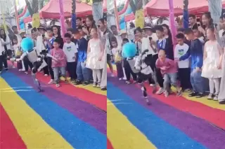 Clown-Wig Humanoid Robot Delivers Roundhouse Kick, Raising Safety Alarm at Public Event