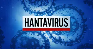 Chelan County Reports Sin Nombre Hantavirus Case, Urges Rodent Precautions